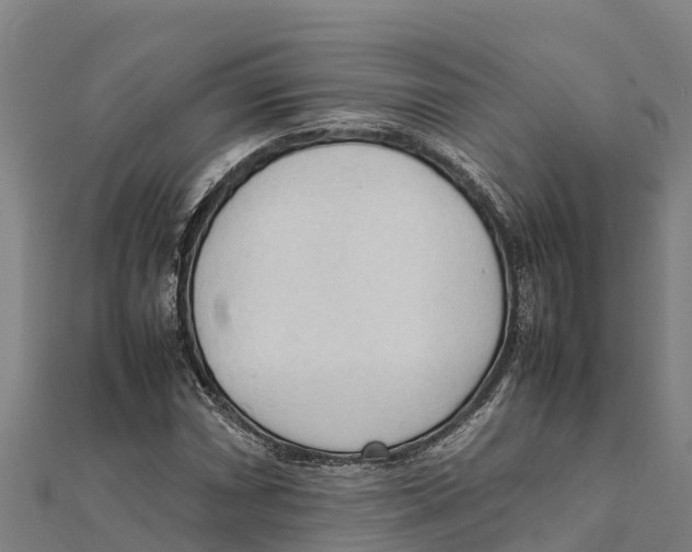 X0000111601066200908131358