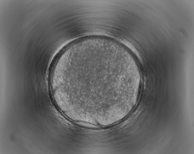 X0000111601068200908131358