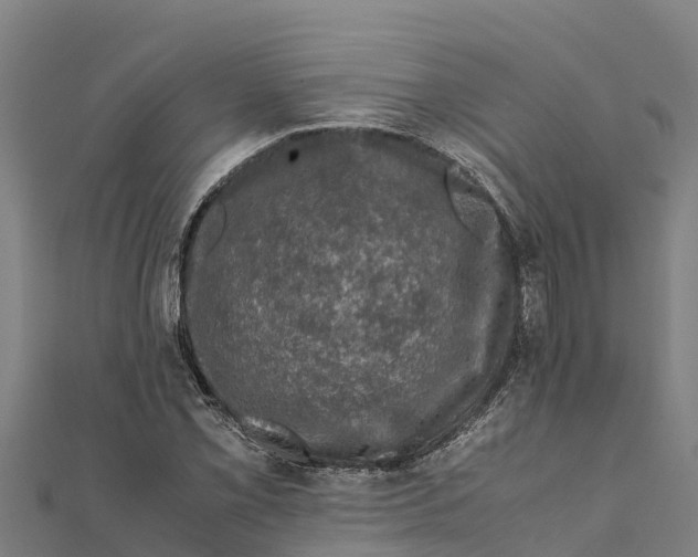 X0000111601069200908131358