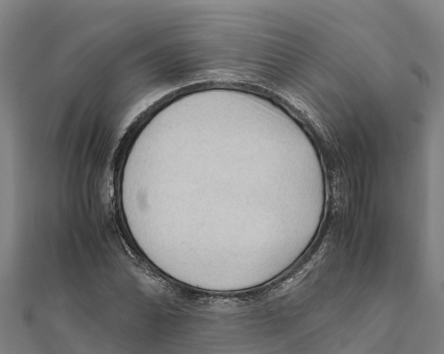 X0000111601070200908131358
