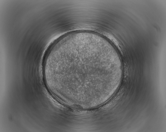 X0000111601072200908131358