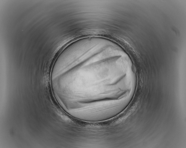 X0000111601073200908131358