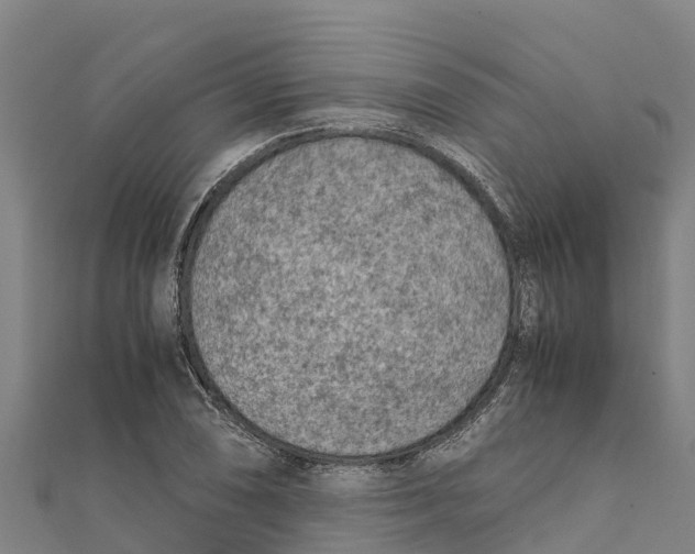 X0000111601074200908131357