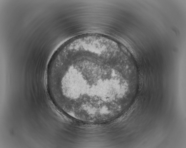 X0000111601076200908131357