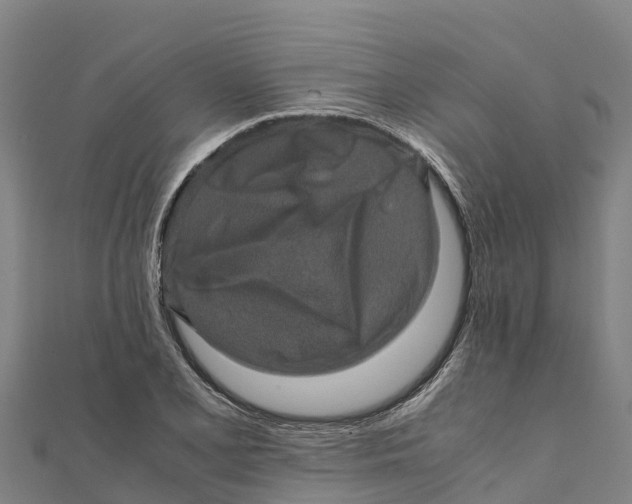 X0000111601077200908131357
