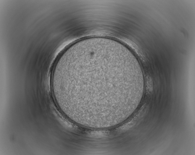 X0000111601078200908131357