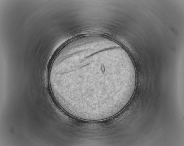 X0000111601079200908131357