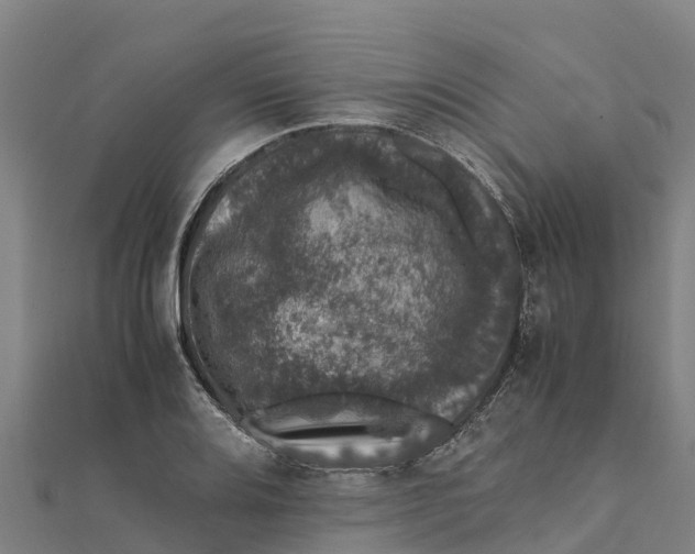 X0000111601080200908131357