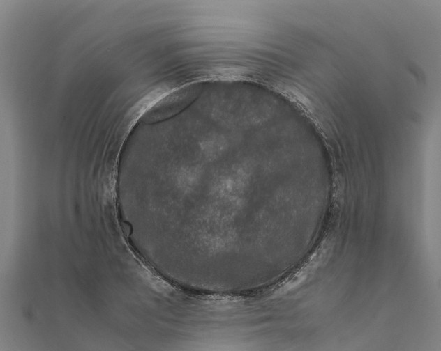 X0000111601081200908131357