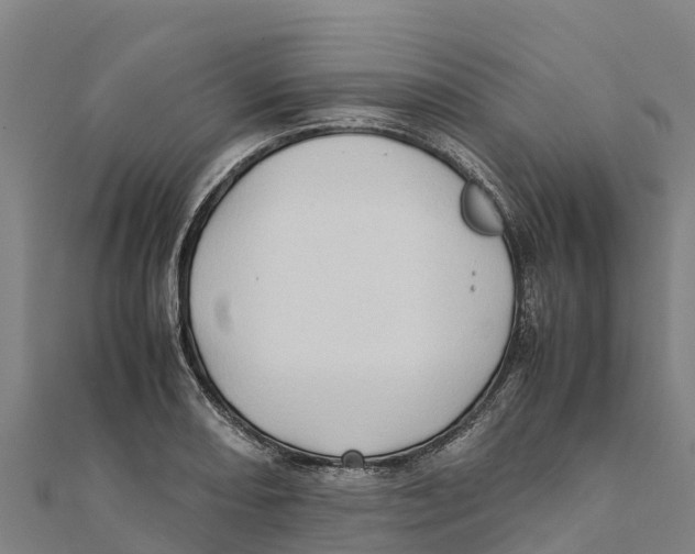 X0000111601082200908131357