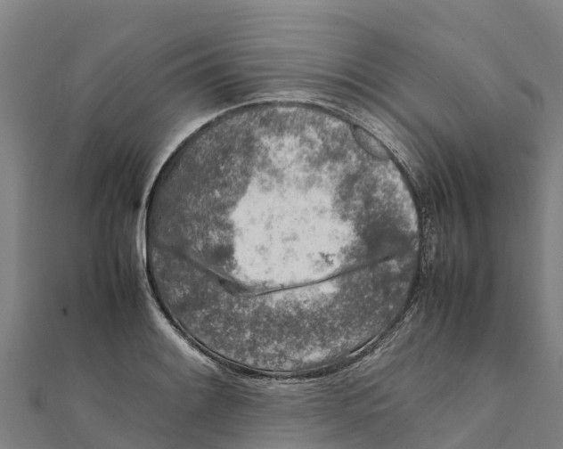 X0000111601084200908131357
