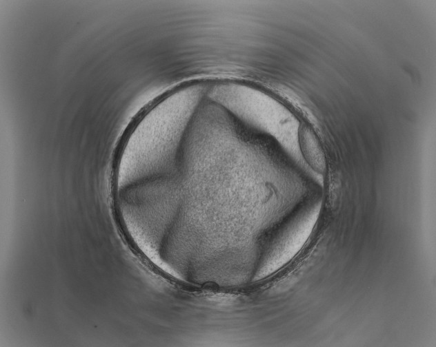 X0000111601085200908131357