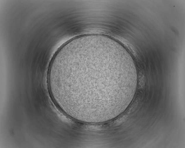 X0000111601086200908131357