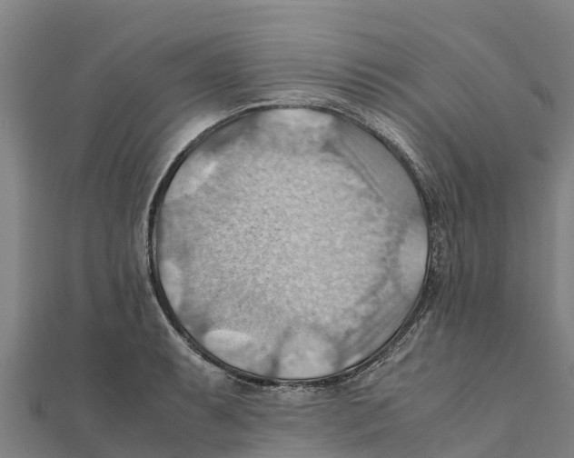 X0000111601087200908131357