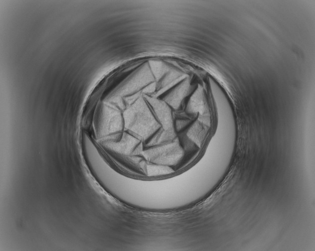 X0000111601088200908131357