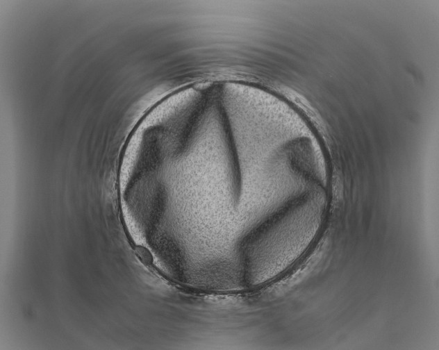 X0000111601089200908131357