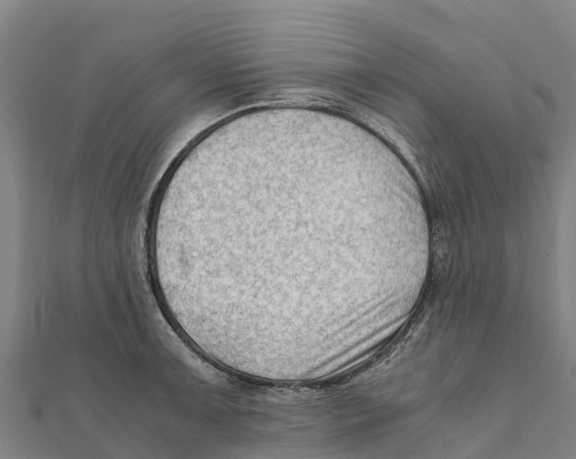 X0000111601091200908131357