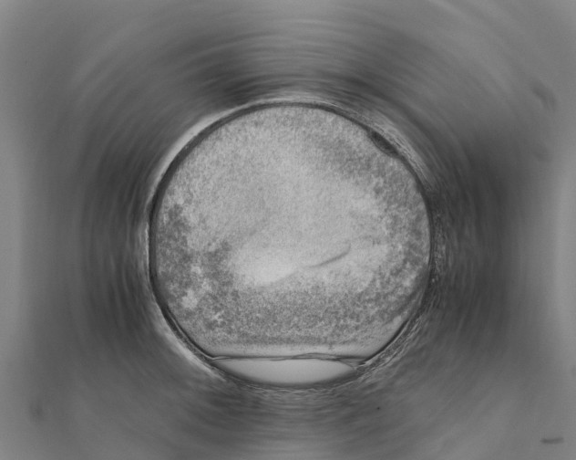 X0000111601092200908131357