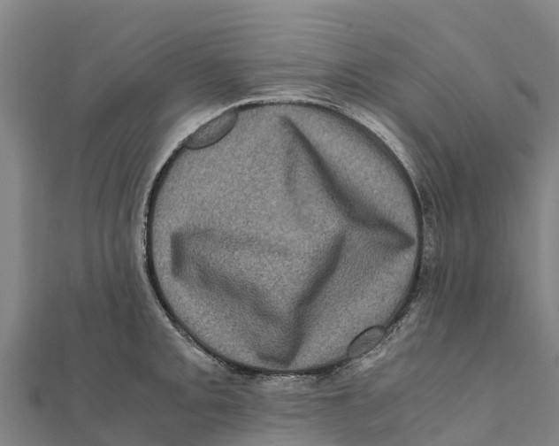 X0000111601093200908131357