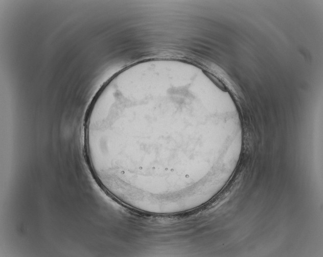 X0000111601095200908131357