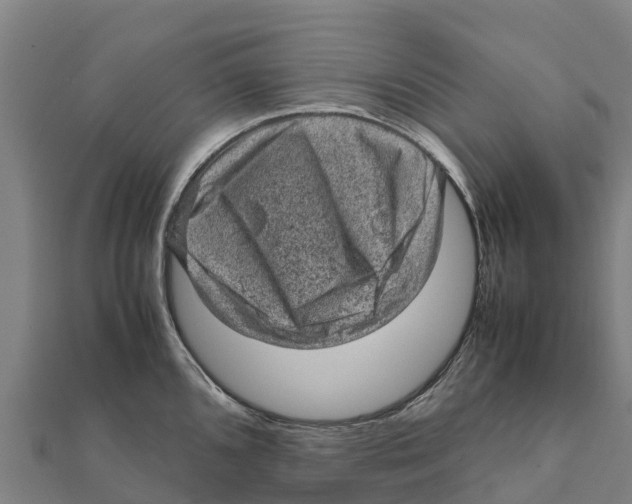 X0000111601096200908131357
