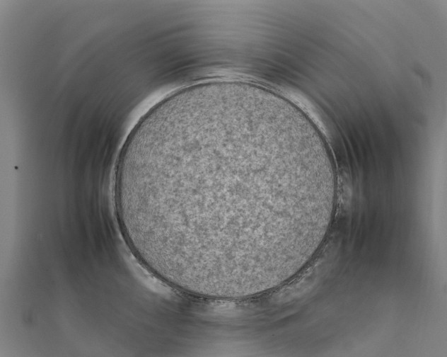 X0000111601098200908131357