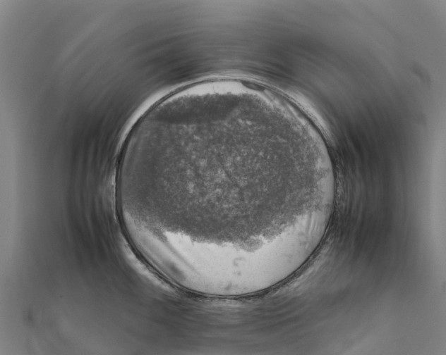 X0000111601100200908131357
