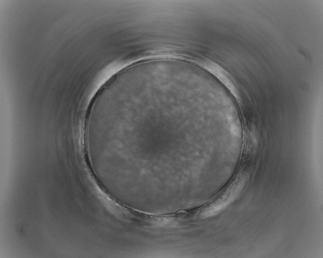 X0000111601101200908131357