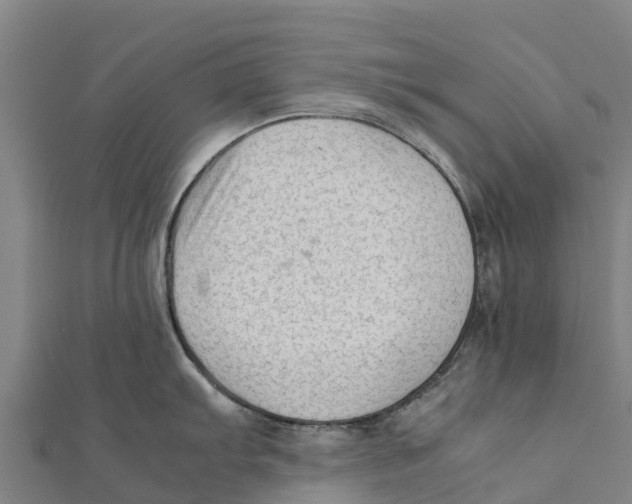 X0000111601103200908131357