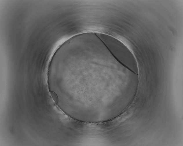 X0000111601104200908131357