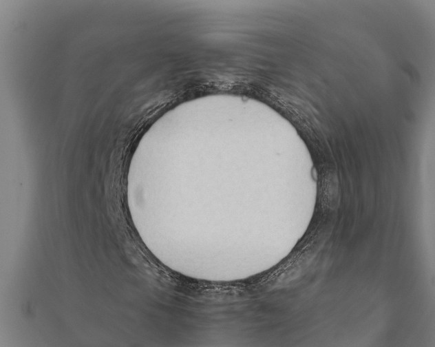 X0000111601105200908131356