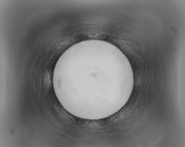 X0000111601106200908131356