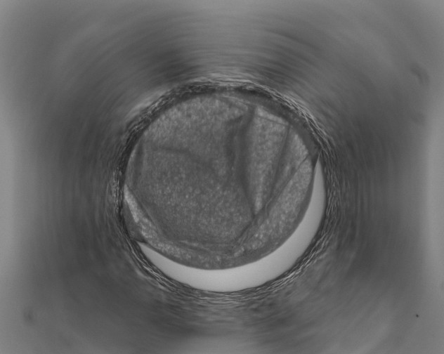 X0000111601110200908131356