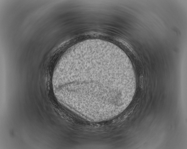 X0000111601111200908131356