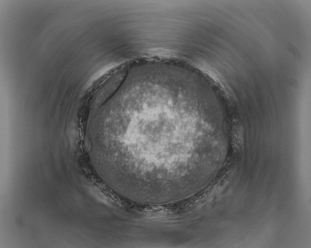 X0000111601112200908131356