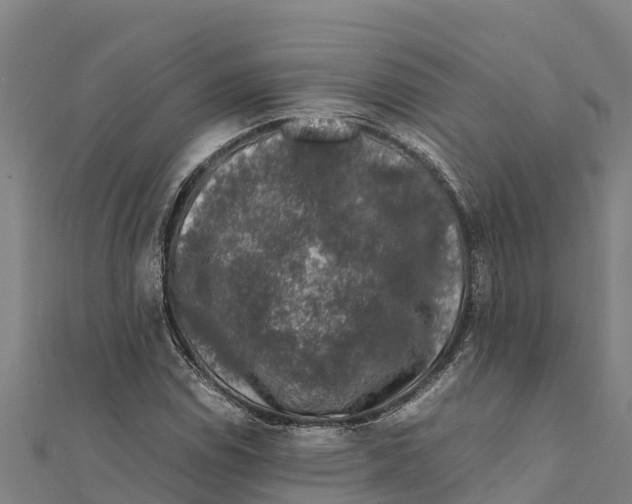 X0000111601114200908131356