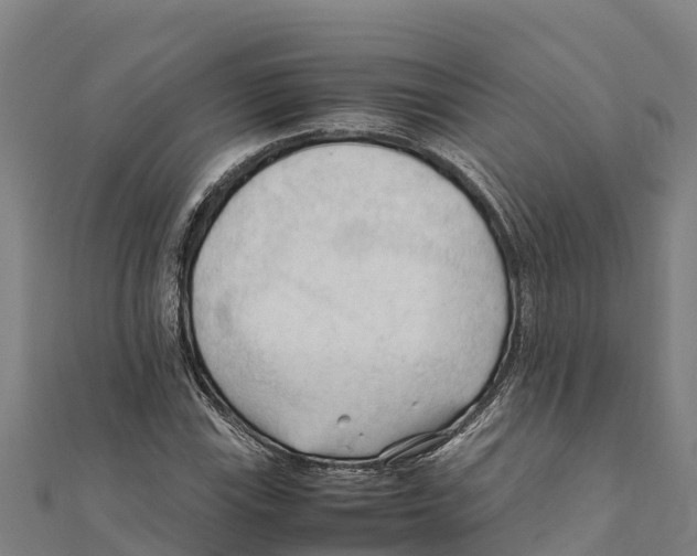 X0000111601115200908131356