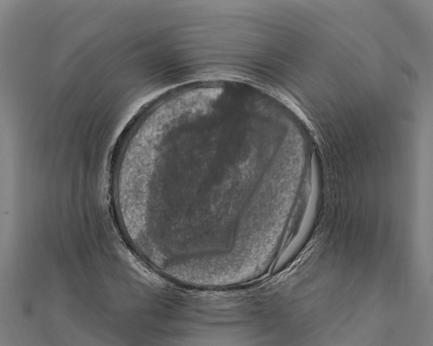 X0000111601116200908131356