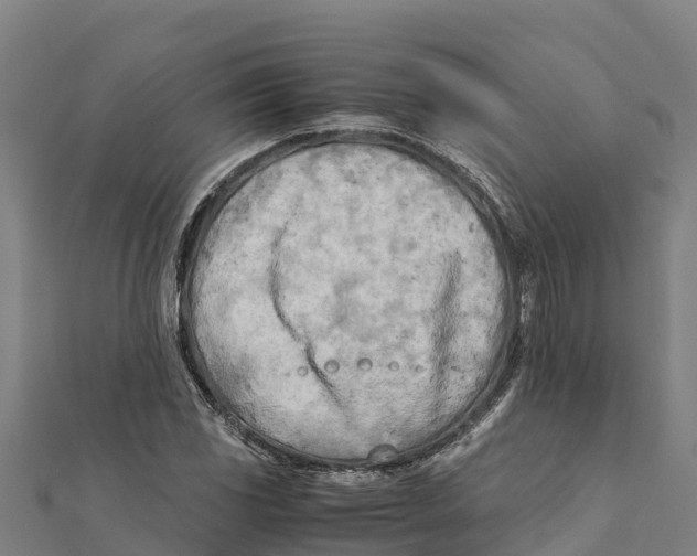 X0000111601117200908131356