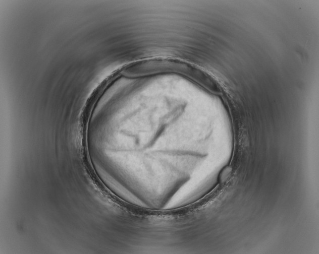 X0000111601118200908131356