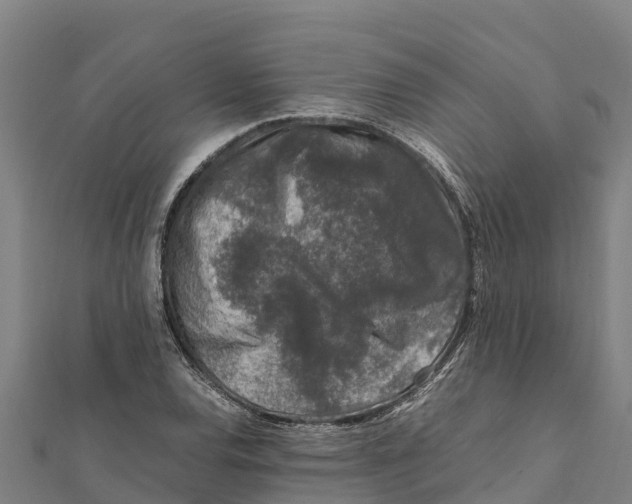 X0000111601120200908131357
