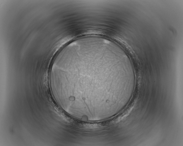 X0000111601121200908131357