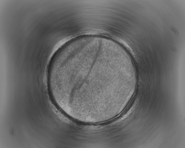 X0000111601122200908131357