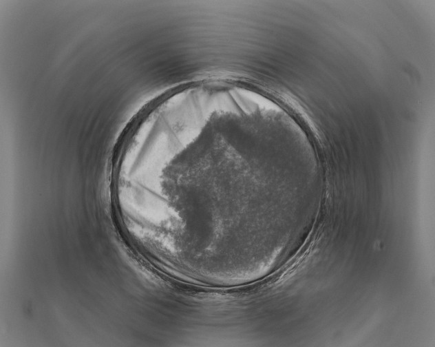 X0000111601124200908131357