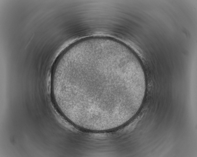 X0000111601126200908131357