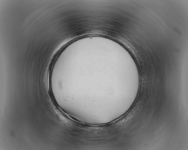 X0000111601127200908131357