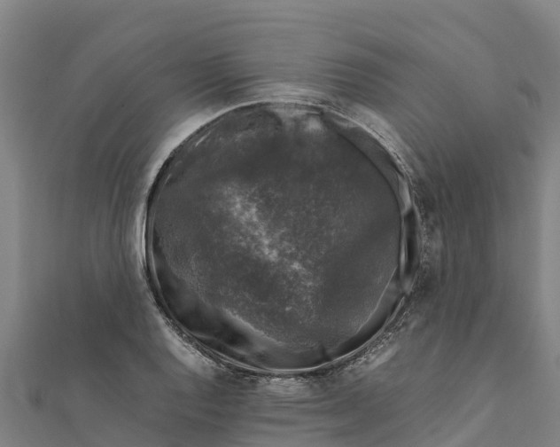 X0000111601128200908131357
