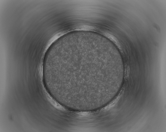 X0000111601130200908131357