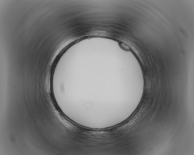 X0000111601131200908131357