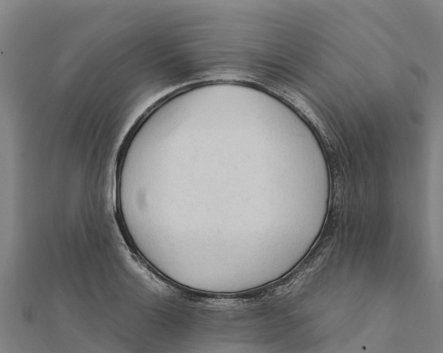 X0000111601132200908131357
